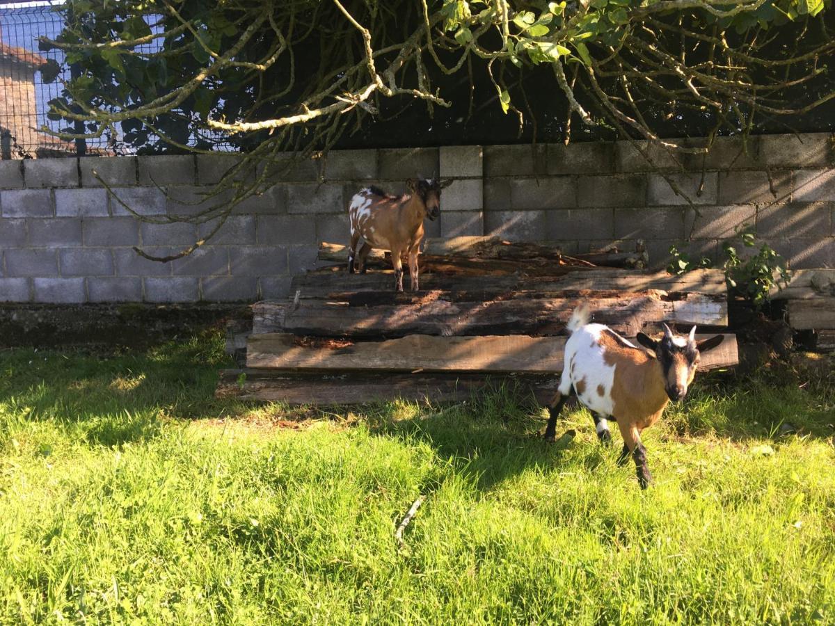 Ak-55 Rural House Guest House Villaviciosa  Bagian luar foto